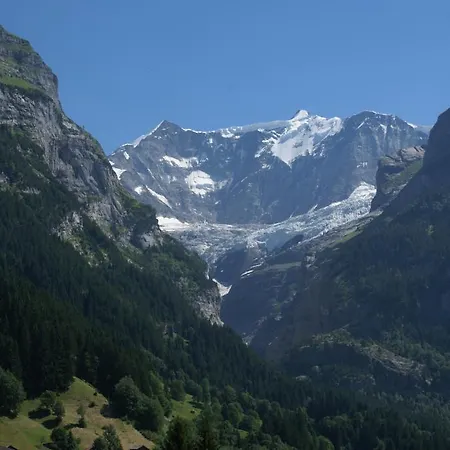 Chalet Wyssefluh Apartment Grindelwald
